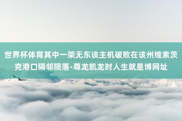 世界杯体育其中一架无东谈主机破败在该州维索茨克港口隔邻陨落-尊龙凯龙时人生就是博网址