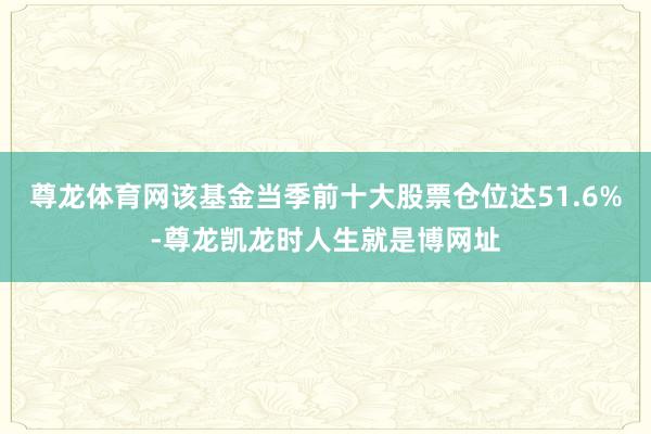 尊龙体育网该基金当季前十大股票仓位达51.6%-尊龙凯龙时人生就是博网址