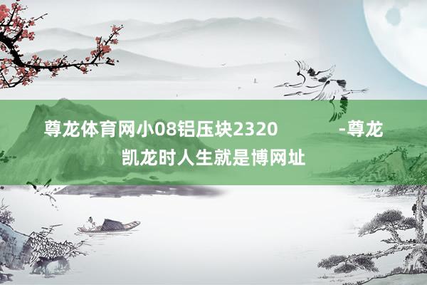 尊龙体育网小08铝压块2320            -尊龙凯龙时人生就是博网址