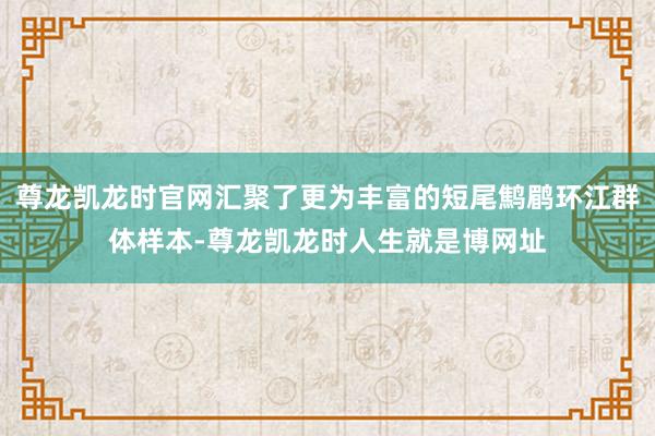 尊龙凯龙时官网汇聚了更为丰富的短尾鹪鹛环江群体样本-尊龙凯龙时人生就是博网址