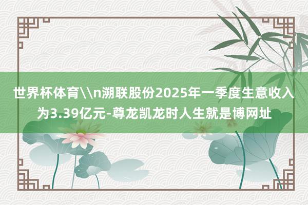 世界杯体育\n溯联股份2025年一季度生意收入为3.39亿元-尊龙凯龙时人生就是博网址