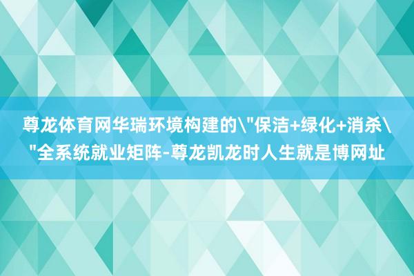 尊龙体育网华瑞环境构建的
