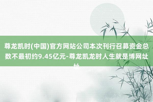尊龙凯时(中国)官方网站公司本次刊行召募资金总数不最初约9.45亿元-尊龙凯龙时人生就是博网址
