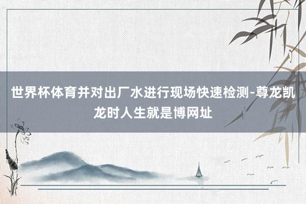 世界杯体育并对出厂水进行现场快速检测-尊龙凯龙时人生就是博网址