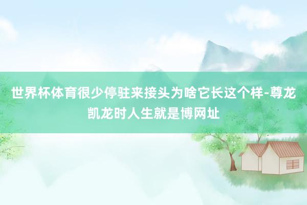 世界杯体育很少停驻来接头为啥它长这个样-尊龙凯龙时人生就是博网址