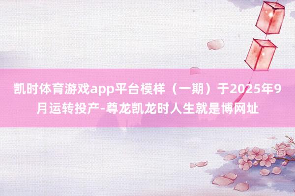 凯时体育游戏app平台模样（一期）于2025年9月运转投产-尊龙凯龙时人生就是博网址