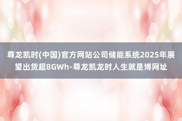 尊龙凯时(中国)官方网站公司储能系统2025年展望出货超8GWh-尊龙凯龙时人生就是博网址