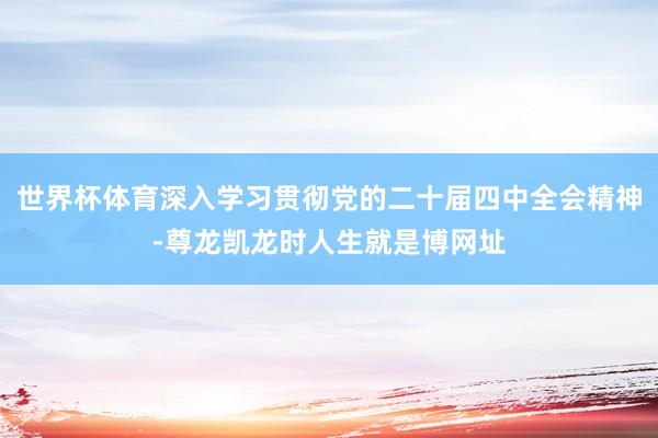 世界杯体育深入学习贯彻党的二十届四中全会精神-尊龙凯龙时人生就是博网址